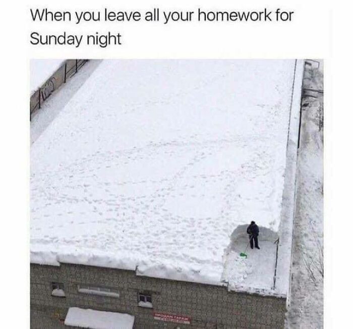 Person shoveling snow from a large roof, illustrating a science meme about procrastinating homework until Sunday night.