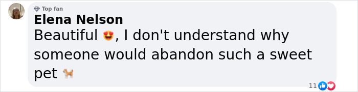 A user's comment praising a dog's sweet nature after a year in a shelter. A user's comment praising a dog's sweet nature after a year in a shelter.