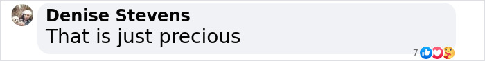 Comment by Denise Stevens saying, "That is just precious," with various emoji reactions displayed. Comment by Denise Stevens saying, "That is just precious," with various emoji reactions displayed.
