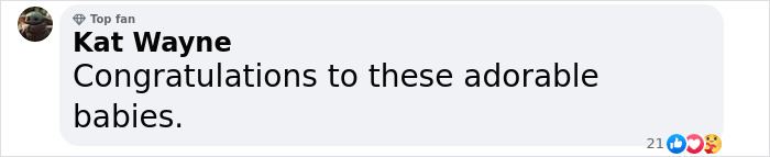 Comment by Kat Wayne congratulating adorable dogs on social media. Comment by Kat Wayne congratulating adorable dogs on social media.