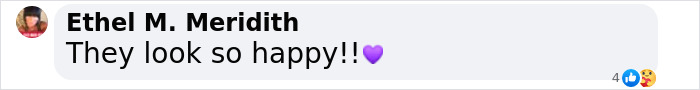 Comment praising dog and friend, expressing happiness with a purple heart emoji. Comment praising dog and friend, expressing happiness with a purple heart emoji.
