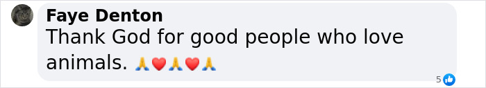 Text comment praising people who love animals, with emojis of praying hands and hearts. Text comment praising people who love animals, with emojis of praying hands and hearts.
