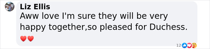 A comment expressing joy for the dog's new friendship after a year in the shelter. A comment expressing joy for the dog's new friendship after a year in the shelter.