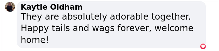 Comment celebrating a dog's happiness with a new friend after leaving the shelter. Comment celebrating a dog's happiness with a new friend after leaving the shelter.