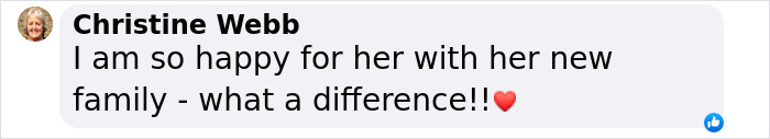 Comment expressing happiness for a rescued dog spending its first Christmas in a new home. Comment expressing happiness for a rescued dog spending its first Christmas in a new home.