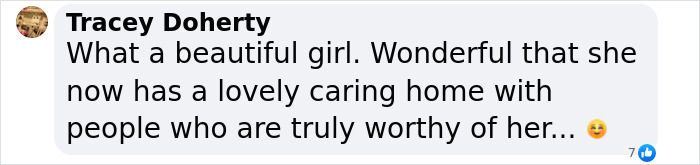 A comment praising a rescued dog who now has a loving home, with a heartwarming message and smiley emoji. A comment praising a rescued dog who now has a loving home, with a heartwarming message and smiley emoji.