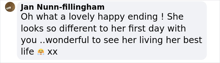 Comment expressing joy at a dog's rescue and her happy new life. Comment expressing joy at a dog's rescue and her happy new life.