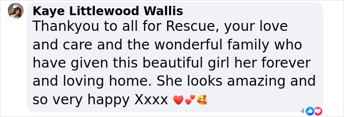 Comment expressing gratitude for rescuing a dog, living happily in her fur-ever home. Comment expressing gratitude for rescuing a dog, living happily in her fur-ever home.