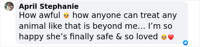 Comment expressing relief and happiness for a rescued dog spending her first Christmas in a loving home. Comment expressing relief and happiness for a rescued dog spending her first Christmas in a loving home.
