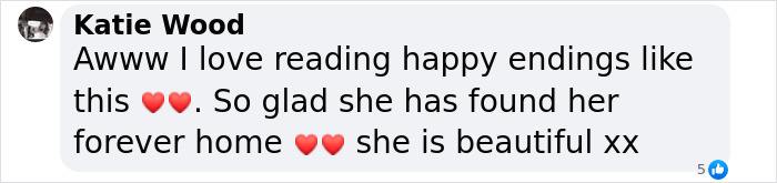 Happy comment about a rescued dog now in a fur-ever home, filled with love and joy. Happy comment about a rescued dog now in a fur-ever home, filled with love and joy.