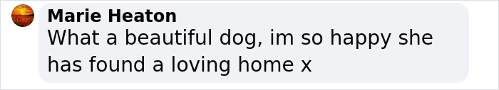 Comment from Marie Heaton praising a beautiful rescued dog finding a loving home. Comment from Marie Heaton praising a beautiful rescued dog finding a loving home.