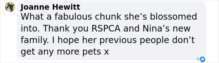 Comment expressing gratitude for the dog's new home after being rescued from harsh conditions. Comment expressing gratitude for the dog's new home after being rescued from harsh conditions.