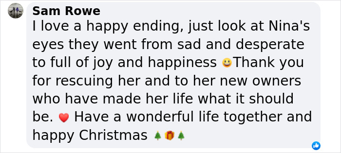Comment expressing joy for a rescued dog's first Christmas in a forever home, featuring emojis of happiness and celebration. Comment expressing joy for a rescued dog's first Christmas in a forever home, featuring emojis of happiness and celebration.