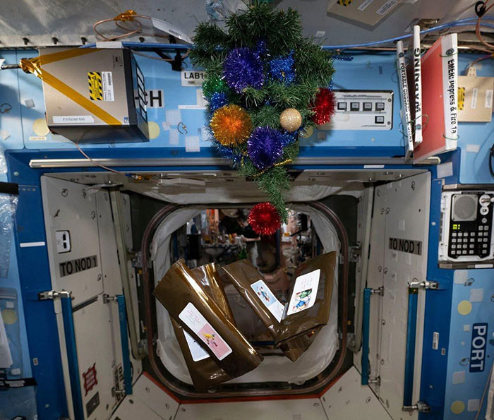 Festive Photo Of Stranded Astronauts Sparks Conspiracy Theories: “Something Fishy Is Going On” Festive Photo Of Stranded Astronauts Sparks Conspiracy Theories: “Something Fishy Is Going On”