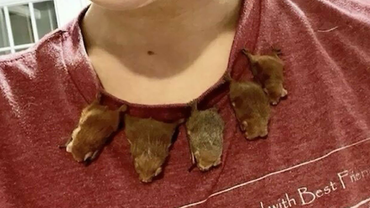 Funny Tweets That Have No Business Being So Spot-On