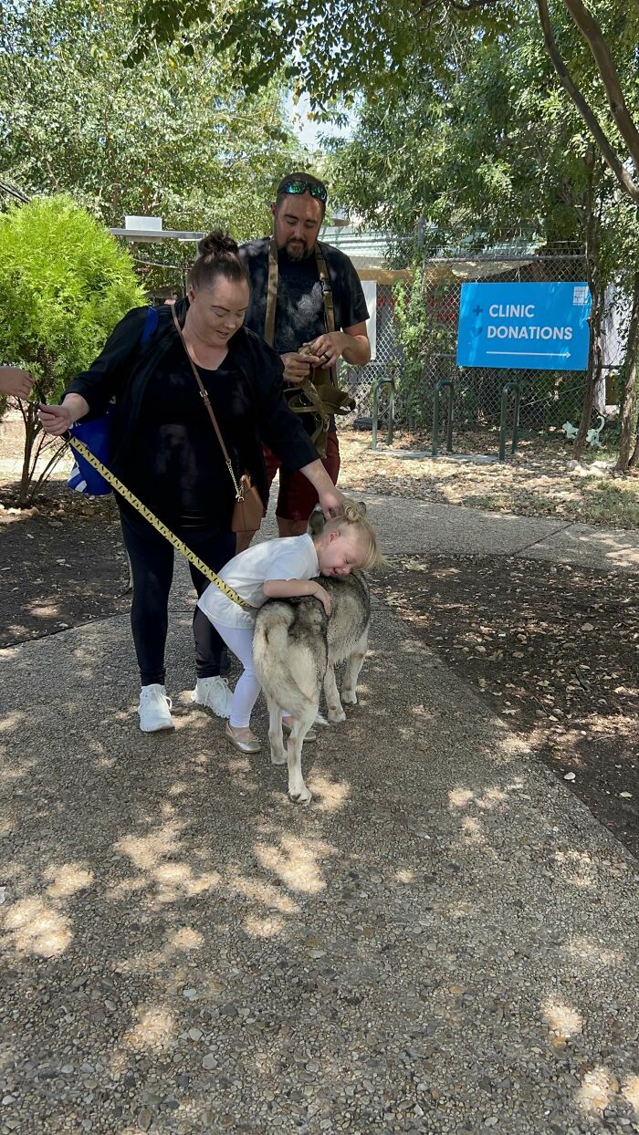 A husky reunites with a little girl outside a shelter, both surrounded by adults and trees. A husky reunites with a little girl outside a shelter, both surrounded by adults and trees.
