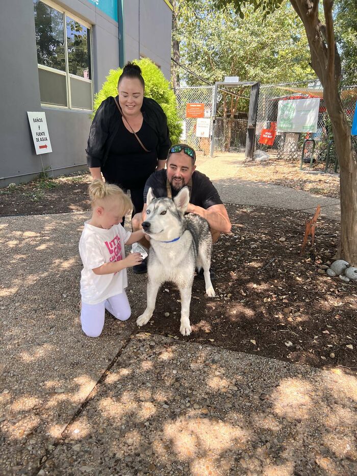 Husky with family at shelter, outside, surrounded by trees and smiling. Husky with family at shelter, outside, surrounded by trees and smiling.