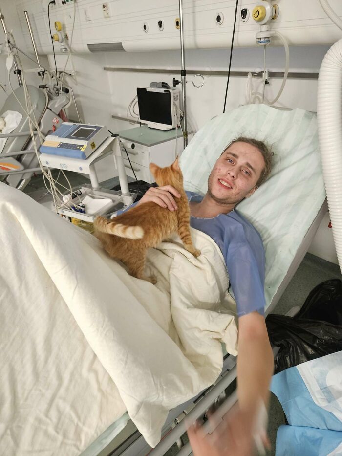Man in hospital bed smiling, holding a kitten; survived mountain ravine thanks to kitten's warmth during escape from war. Man in hospital bed smiling, holding a kitten; survived mountain ravine thanks to kitten's warmth during escape from war.