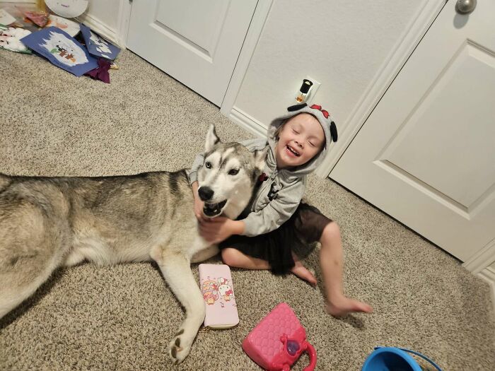 Happy girl hugging a resilient Husky on the carpet, surrounded by toys. Happy girl hugging a resilient Husky on the carpet, surrounded by toys.