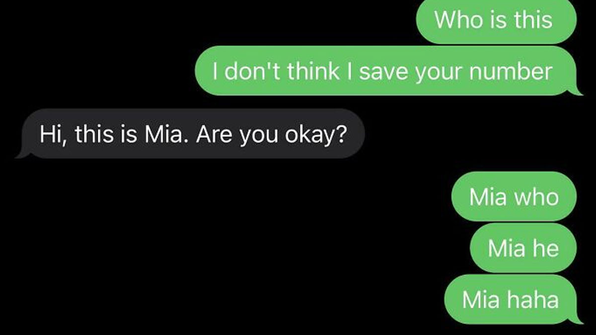 30 Satisfying And Funny Text Conversations People Had With Scammers
