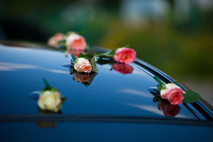 Roses on a car roof, symbolizing a woman's peaceful life disrupted by a stalker from her youth. Roses on a car roof, symbolizing a woman's peaceful life disrupted by a stalker from her youth.