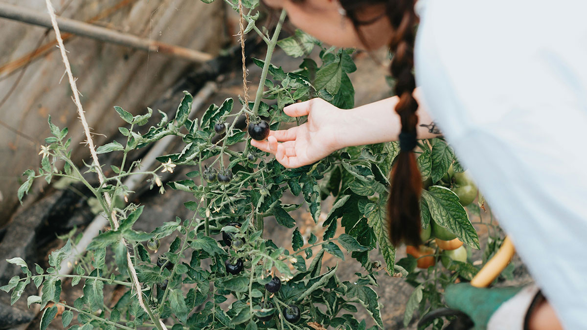 30 Times Police Were Called on People For The Dumbest Reasons