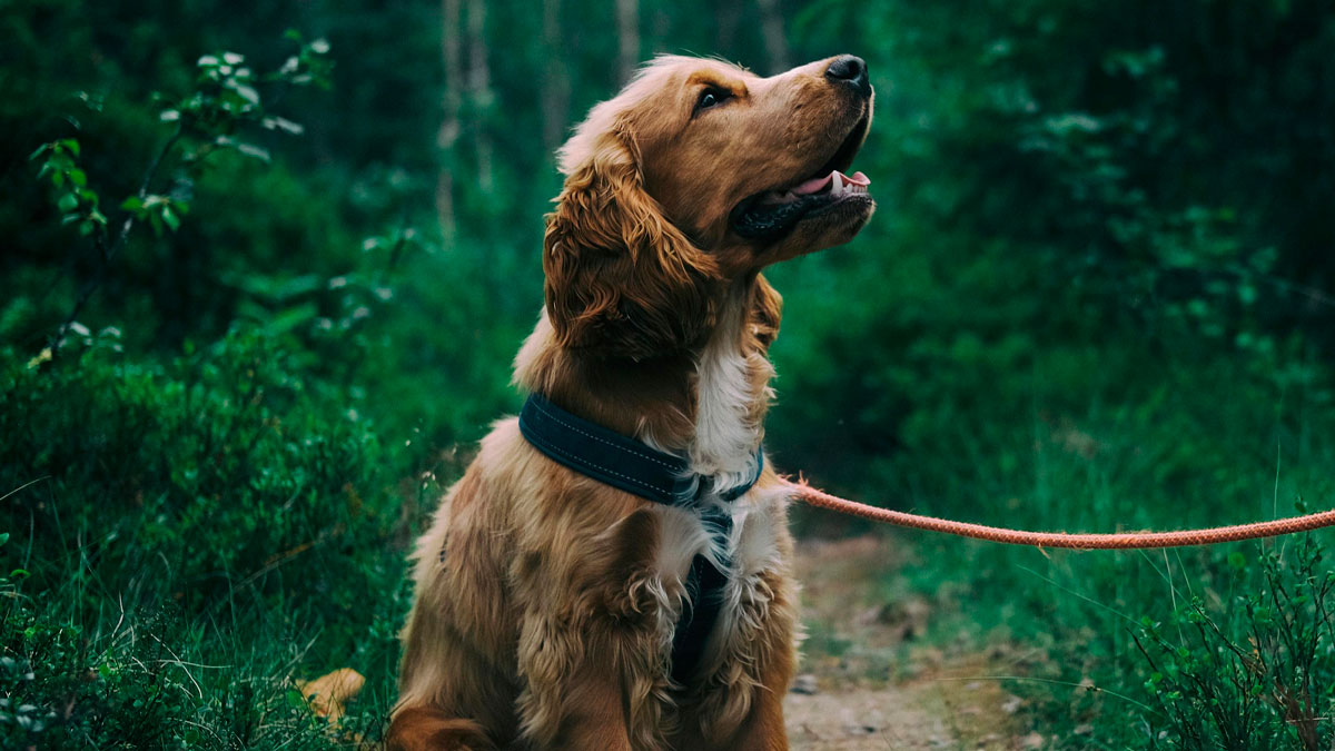 30 Times A Simple “You Up?” Text Escalated Beyond Anyone’s Expectations