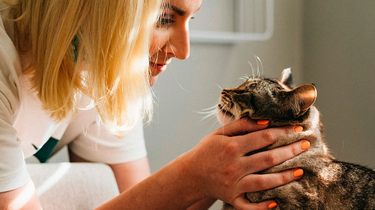 Woman Can’t Take Her Cat With Her And Rehomes It, Gets A Reality Check When She Wants It Back