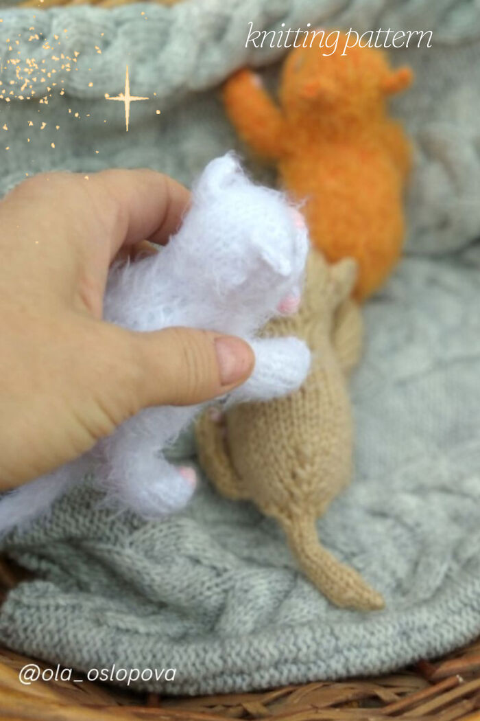 My Knitted Realistic Kittens (10 Pics) My Knitted Realistic Kittens (10 Pics)