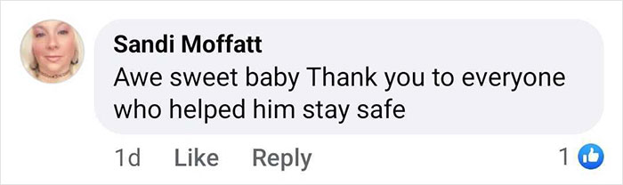 Comment praising efforts to keep the baby gorilla safe at Istanbul Airport. Comment praising efforts to keep the baby gorilla safe at Istanbul Airport.