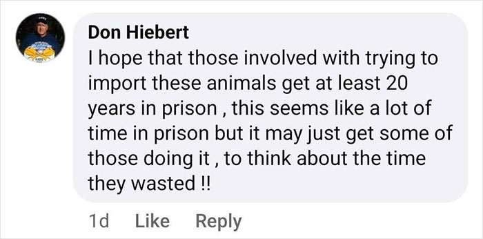 Comment expressing the hope for strict penalties for illegal animal importation related to a rescued baby gorilla. Comment expressing the hope for strict penalties for illegal animal importation related to a rescued baby gorilla.