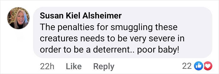Comment about smuggling penalties for a rescued baby gorilla in Istanbul Airport, Turkey. Comment about smuggling penalties for a rescued baby gorilla in Istanbul Airport, Turkey.
