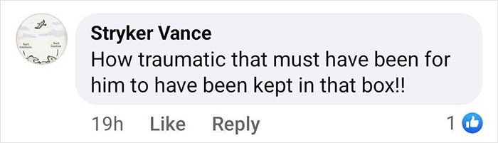 Facebook comment expressing concern about baby gorilla's rescue from a box at Istanbul Airport. Facebook comment expressing concern about baby gorilla's rescue from a box at Istanbul Airport.