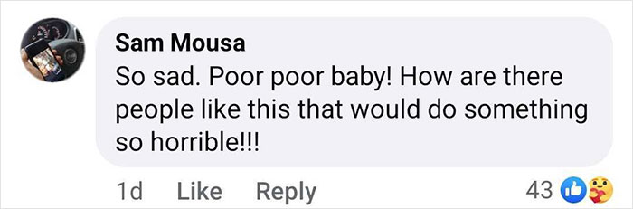 Comment expressing sadness about the baby gorilla rescued at Istanbul Airport, questioning people's actions. Comment expressing sadness about the baby gorilla rescued at Istanbul Airport, questioning people's actions.