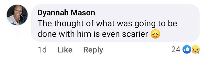 Comment expressing concern about a baby gorilla rescued at Istanbul Airport, receiving reactions. Comment expressing concern about a baby gorilla rescued at Istanbul Airport, receiving reactions.