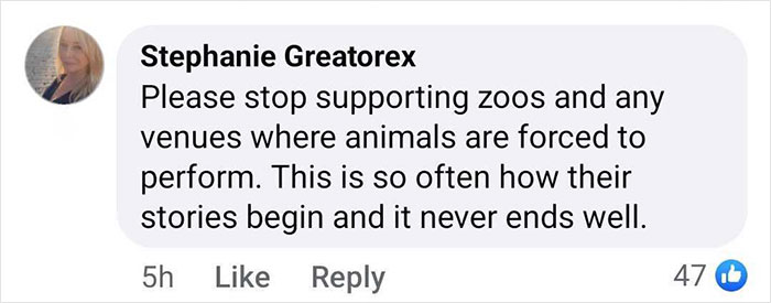 Comment expressing concern over zoos and animal performances; related to baby gorilla rescue at Istanbul Airport, Turkey. Comment expressing concern over zoos and animal performances; related to baby gorilla rescue at Istanbul Airport, Turkey.