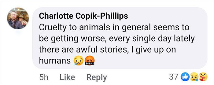 Comment expressing concern for animal cruelty, responding to the rescue of a baby gorilla at Istanbul Airport in Turkey. Comment expressing concern for animal cruelty, responding to the rescue of a baby gorilla at Istanbul Airport in Turkey.