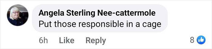 Comment reacting to baby gorilla rescue at Istanbul Airport. Comment reacting to baby gorilla rescue at Istanbul Airport.