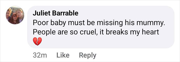 Comment on a post about a baby gorilla rescue at Istanbul airport, expressing sympathy and concern. Comment on a post about a baby gorilla rescue at Istanbul airport, expressing sympathy and concern.