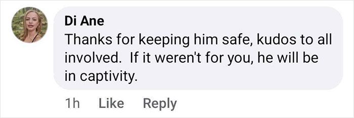 Comment expressing gratitude for the baby gorilla's rescue at Istanbul Airport in Turkey. Comment expressing gratitude for the baby gorilla's rescue at Istanbul Airport in Turkey.