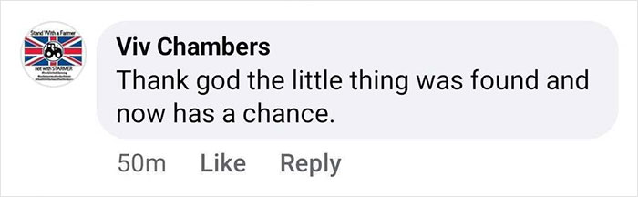 Comment expressing relief over the baby gorilla rescued at Istanbul airport. Comment expressing relief over the baby gorilla rescued at Istanbul airport.