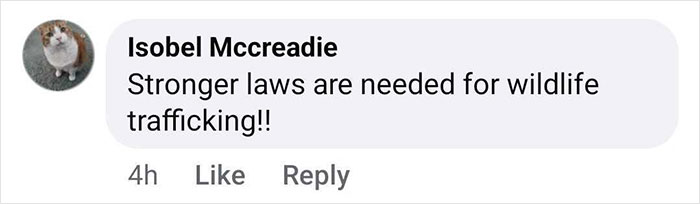 Facebook comment about wildlife trafficking and the need for stronger laws, related to baby gorilla rescue in Turkey. Facebook comment about wildlife trafficking and the need for stronger laws, related to baby gorilla rescue in Turkey.