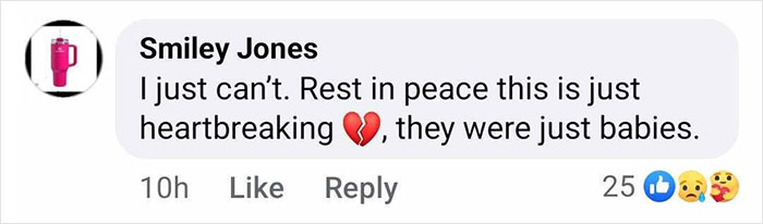Emotional comment on Facebook post about young child ice skating victims in D.C. crash. Emotional comment on Facebook post about young child ice skating victims in D.C. crash.