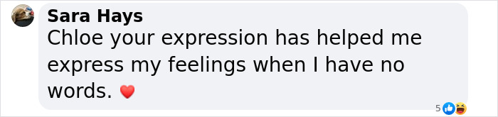 Comment praising Chloe's expression meme for conveying feelings. Comment praising Chloe's expression meme for conveying feelings.