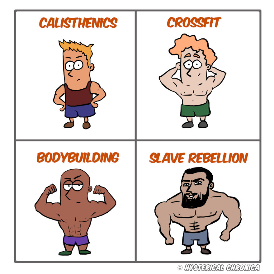 Four comic panels depicting fitness styles with humorous illustrations: calisthenics, crossfit, bodybuilding, s***e rebellion.