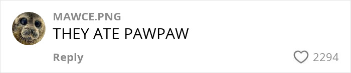 Social media comment reacting to a story about sons eating pawpaw, mistaking it for dirt. Social media comment reacting to a story about sons eating pawpaw, mistaking it for dirt.