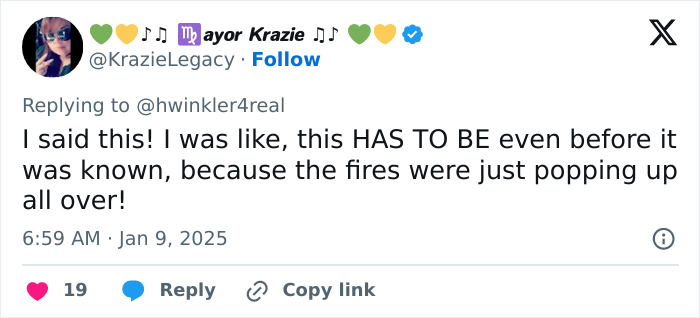 Tweet discussing arsonists captured on camera during LA wildfires, referencing theories surrounding the incidents. Tweet discussing arsonists captured on camera during LA wildfires, referencing theories surrounding the incidents.
