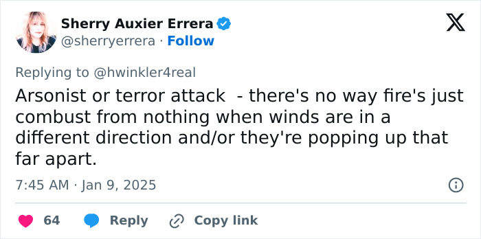 Tweet expressing theory about LA wildfires and arsonists, referencing combustion and winds. Tweet expressing theory about LA wildfires and arsonists, referencing combustion and winds.