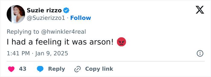 Tweet suggesting arson involvement during LA wildfires, referencing theory by Henry Winkler, with angry emoji. Tweet suggesting arson involvement during LA wildfires, referencing theory by Henry Winkler, with angry emoji.