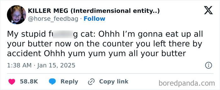 Funny tweet about a cat threatening to eat butter left on the counter.